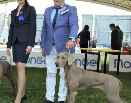 Cuoricina vince all'esposizione internazionale canina di Ravenna