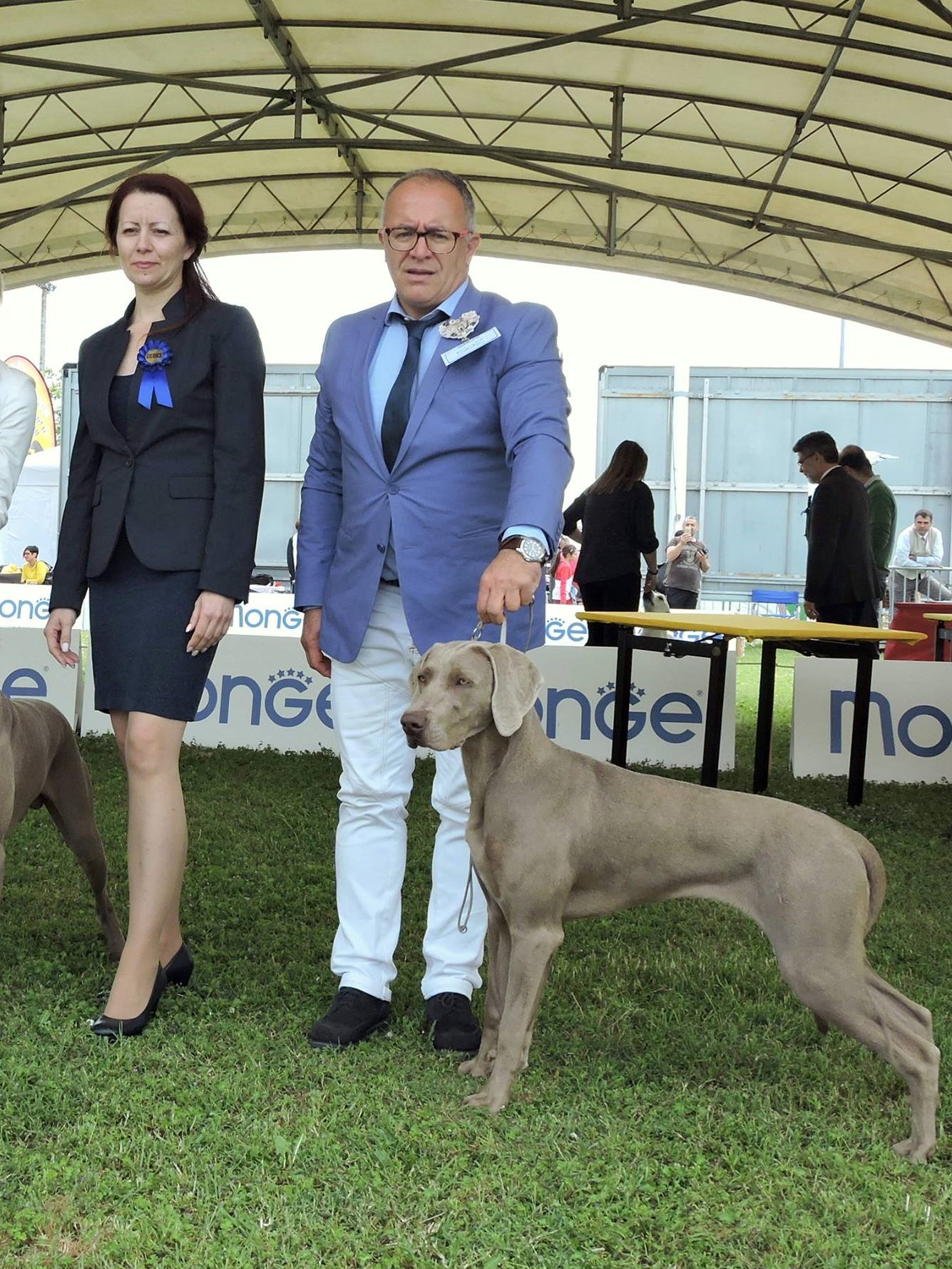 Cuoricina vince all'esposizione internazionale canina di Ravenna