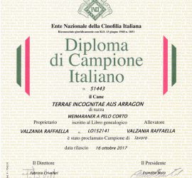 Campione-italiano-di-lavoro_Terra